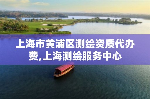 上海市黄浦区测绘资质代办费,上海测绘服务中心