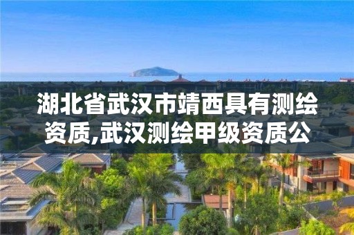 湖北省武汉市靖西具有测绘资质,武汉测绘甲级资质公司