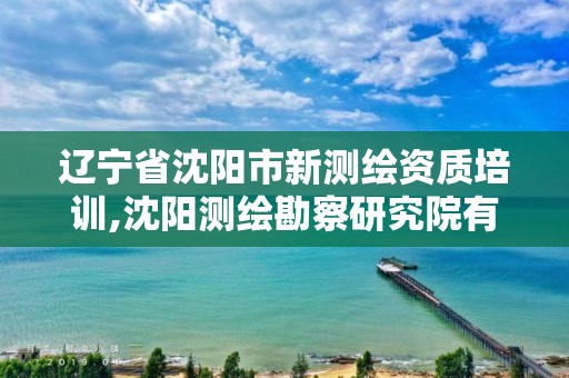 辽宁省沈阳市新测绘资质培训,沈阳测绘勘察研究院有限公司