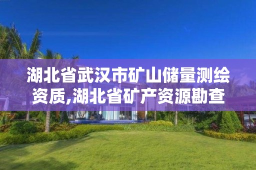 湖北省武汉市矿山储量测绘资质,湖北省矿产资源勘查开发公式