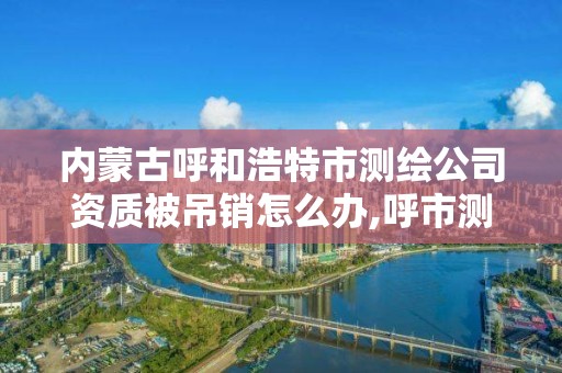 内蒙古呼和浩特市测绘公司资质被吊销怎么办,呼市测绘单位