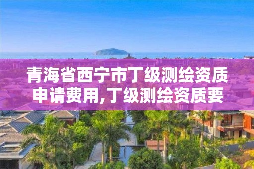 青海省西宁市丁级测绘资质申请费用,丁级测绘资质要求。