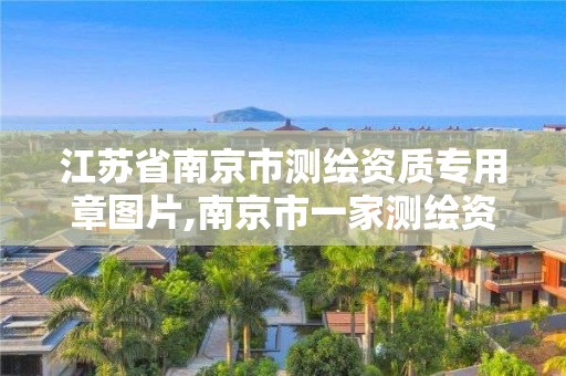 江苏省南京市测绘资质专用章图片,南京市一家测绘资质单位要使用