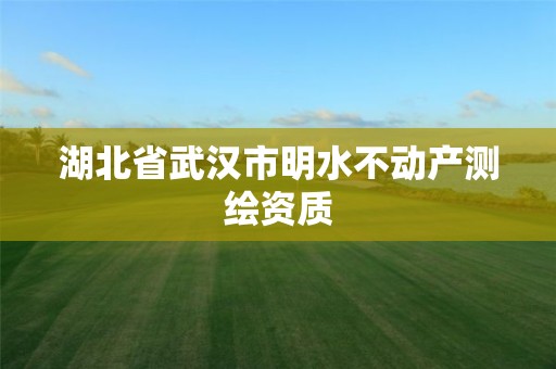 湖北省武汉市明水不动产测绘资质