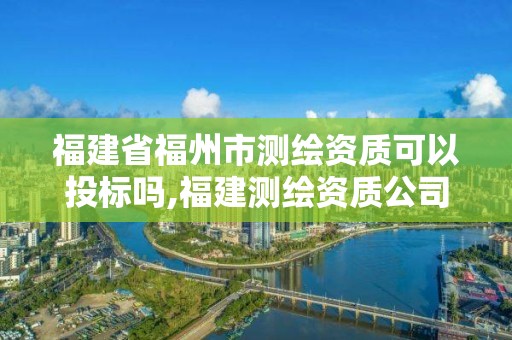 福建省福州市测绘资质可以投标吗,福建测绘资质公司