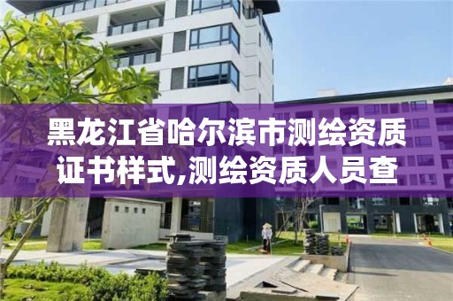 黑龙江省哈尔滨市测绘资质证书样式,测绘资质人员查询系统