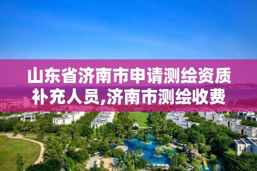 山东省济南市申请测绘资质补充人员,济南市测绘收费标准