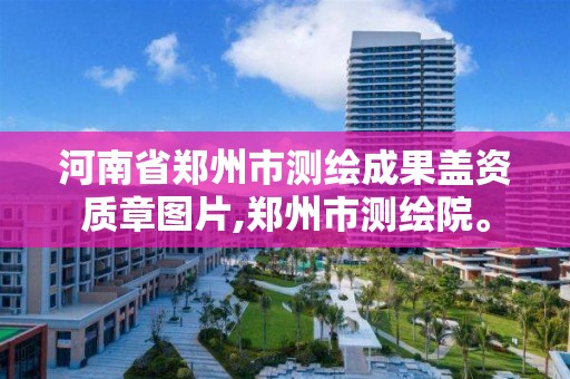 河南省郑州市测绘成果盖资质章图片,郑州市测绘院。