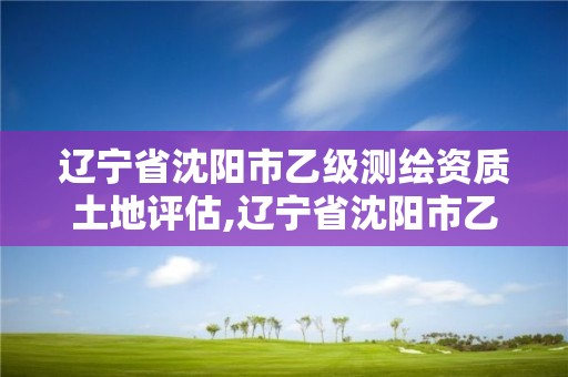 辽宁省沈阳市乙级测绘资质土地评估,辽宁省沈阳市乙级测绘资质土地评估机构