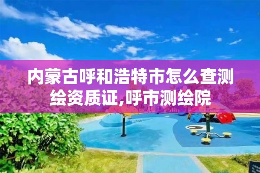 内蒙古呼和浩特市怎么查测绘资质证,呼市测绘院