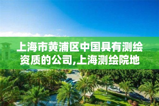 上海市黄浦区中国具有测绘资质的公司,上海测绘院地址浦东