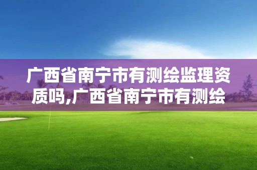 广西省南宁市有测绘监理资质吗,广西省南宁市有测绘监理资质吗在哪里