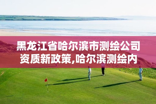 黑龙江省哈尔滨市测绘公司资质新政策,哈尔滨测绘内业招聘信息