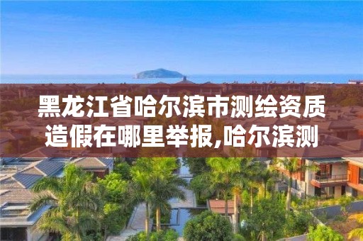 黑龙江省哈尔滨市测绘资质造假在哪里举报,哈尔滨测绘局是干什么的。