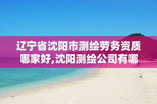 辽宁省沈阳市测绘劳务资质哪家好,沈阳测绘公司有哪些