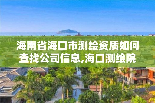 海南省海口市测绘资质如何查找公司信息,海口测绘院。