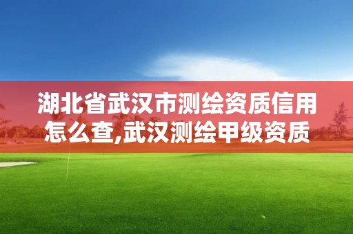 湖北省武汉市测绘资质信用怎么查,武汉测绘甲级资质公司