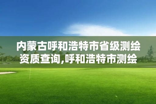 内蒙古呼和浩特市省级测绘资质查询,呼和浩特市测绘仪器店