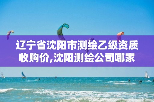 辽宁省沈阳市测绘乙级资质收购价,沈阳测绘公司哪家强哪家好。