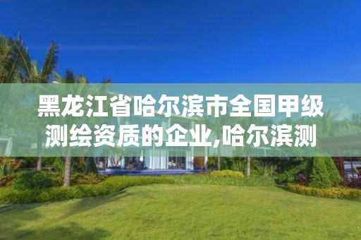 黑龙江省哈尔滨市全国甲级测绘资质的企业,哈尔滨测绘公司哪家好