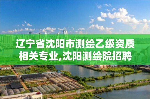 辽宁省沈阳市测绘乙级资质相关专业,沈阳测绘院招聘