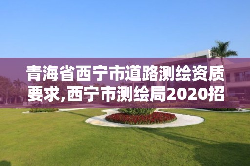 青海省西宁市道路测绘资质要求,西宁市测绘局2020招聘