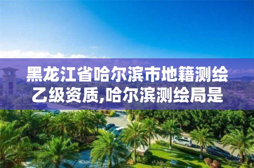 黑龙江省哈尔滨市地籍测绘乙级资质,哈尔滨测绘局是干什么的