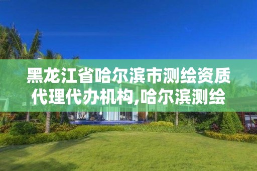 黑龙江省哈尔滨市测绘资质代理代办机构,哈尔滨测绘局属于什么单位