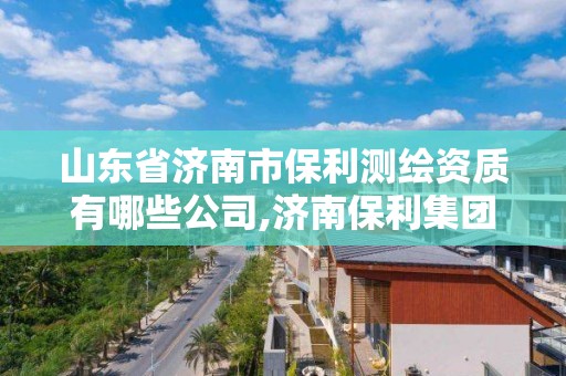 山东省济南市保利测绘资质有哪些公司,济南保利集团有限公司