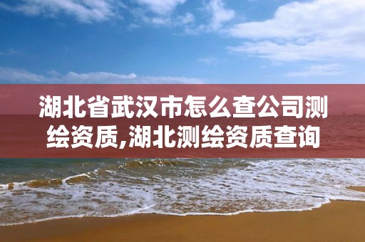 湖北省武汉市怎么查公司测绘资质,湖北测绘资质查询