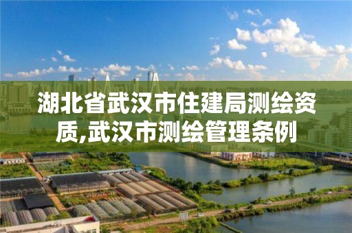 湖北省武汉市住建局测绘资质,武汉市测绘管理条例