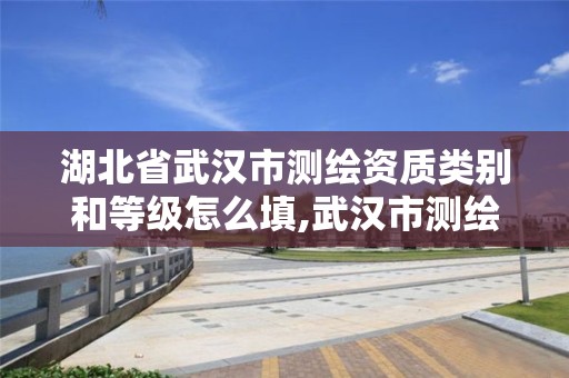 湖北省武汉市测绘资质类别和等级怎么填,武汉市测绘勘察设计甲级资质公司。