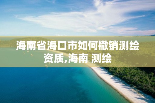 海南省海口市如何撤销测绘资质,海南 测绘