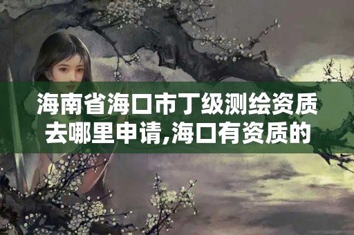 海南省海口市丁级测绘资质去哪里申请,海口有资质的测绘公司