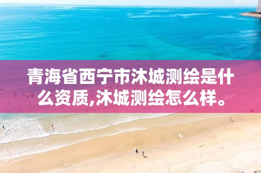 青海省西宁市沐城测绘是什么资质,沐城测绘怎么样。