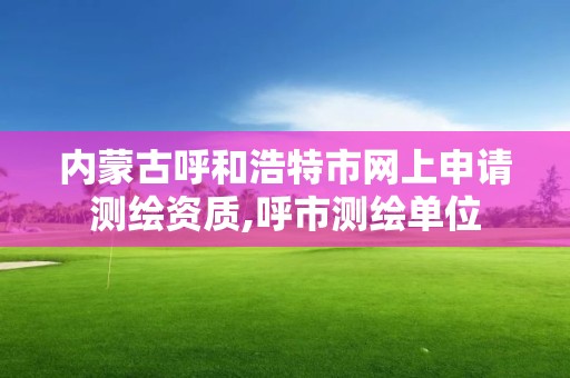 内蒙古呼和浩特市网上申请测绘资质,呼市测绘单位