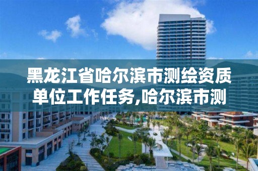 黑龙江省哈尔滨市测绘资质单位工作任务,哈尔滨市测绘院