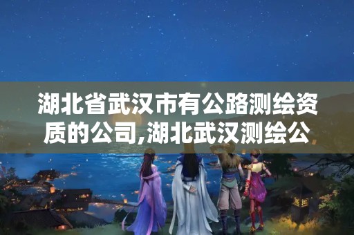 湖北省武汉市有公路测绘资质的公司,湖北武汉测绘公司排行榜。