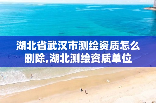 湖北省武汉市测绘资质怎么删除,湖北测绘资质单位