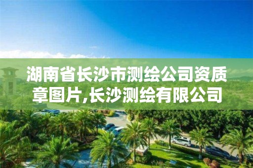 湖南省长沙市测绘公司资质章图片,长沙测绘有限公司