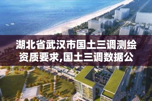 湖北省武汉市国土三调测绘资质要求,国土三调数据公示。