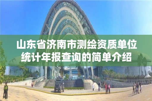 山东省济南市测绘资质单位统计年报查询的简单介绍