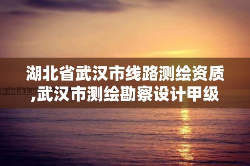 湖北省武汉市线路测绘资质,武汉市测绘勘察设计甲级资质公司