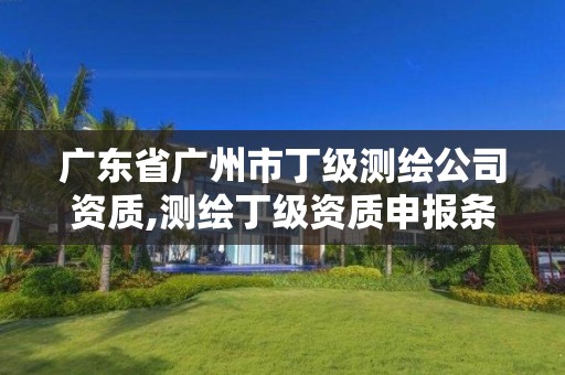 广东省广州市丁级测绘公司资质,测绘丁级资质申报条件