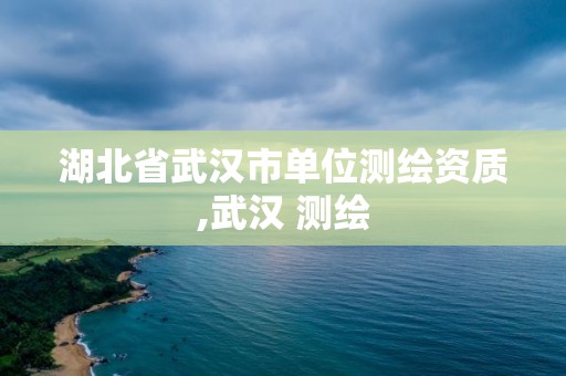 湖北省武汉市单位测绘资质,武汉 测绘