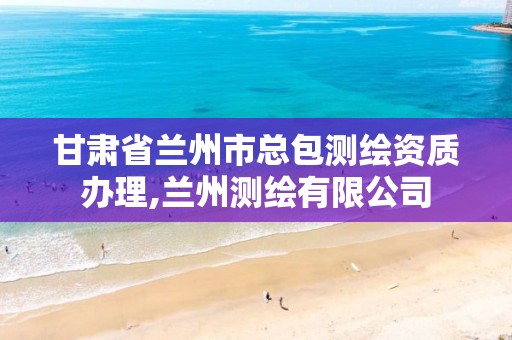 甘肃省兰州市总包测绘资质办理,兰州测绘有限公司