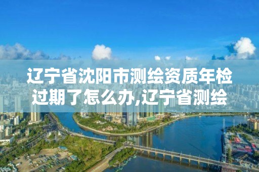 辽宁省沈阳市测绘资质年检过期了怎么办,辽宁省测绘资质延期。