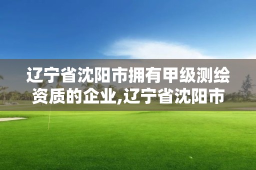 辽宁省沈阳市拥有甲级测绘资质的企业,辽宁省沈阳市拥有甲级测绘资质的企业有哪些。