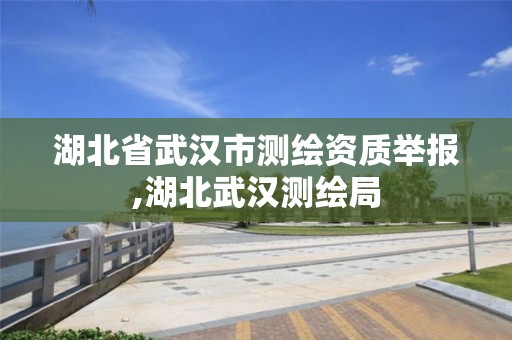 湖北省武汉市测绘资质举报,湖北武汉测绘局