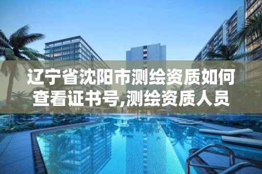 辽宁省沈阳市测绘资质如何查看证书号,测绘资质人员查询。